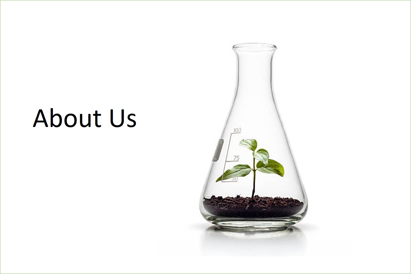 About Us.jpg (70 KB)